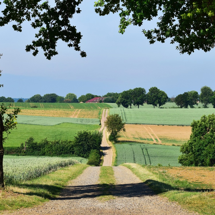 Weggetje langs de heuvels in Land van Kalk