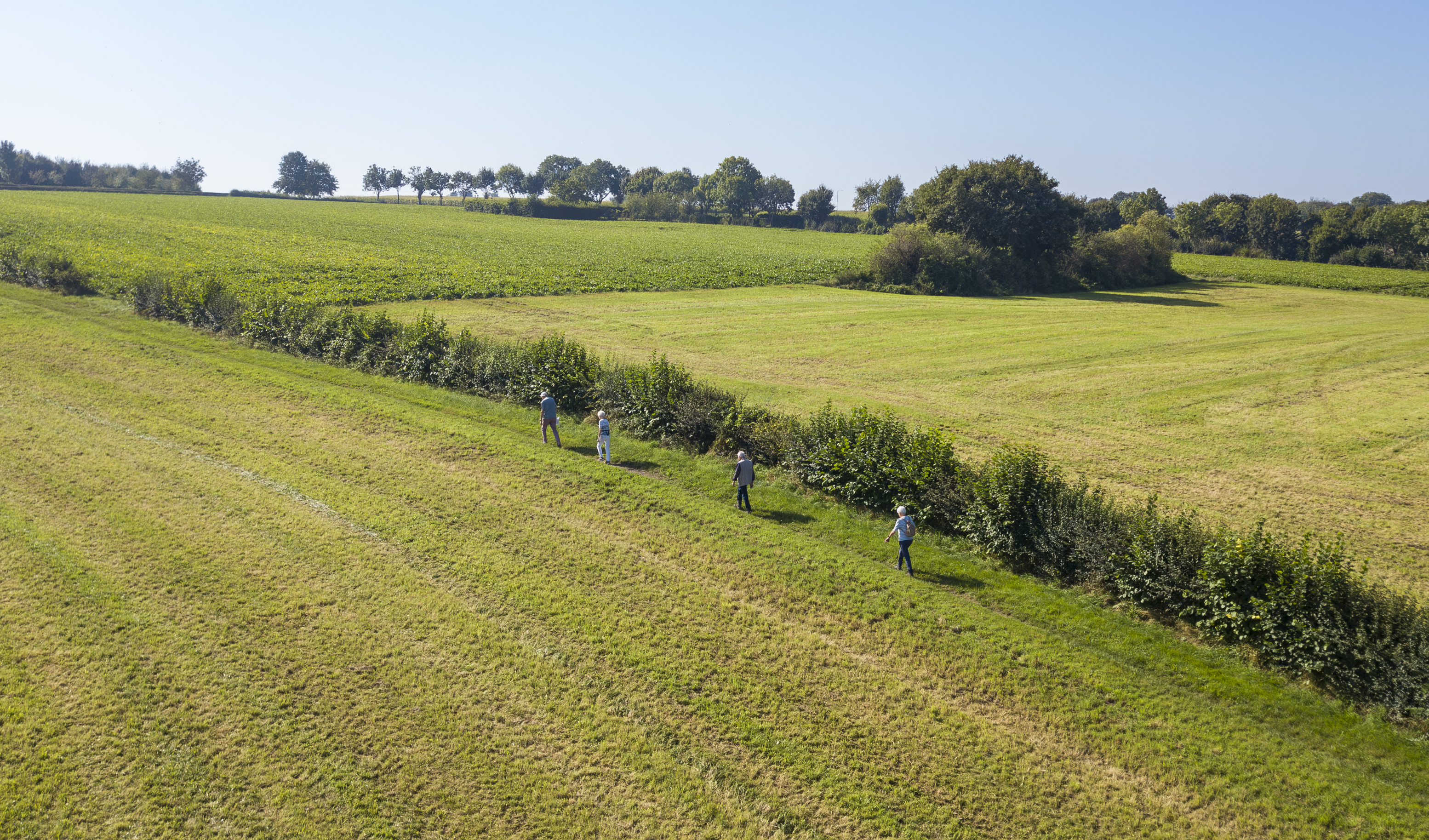 Wandelroute Voerendaal - Kalkovenroute